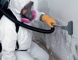 Mold Documentation for Insurance Claims in Florida, NY